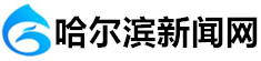 新闻网